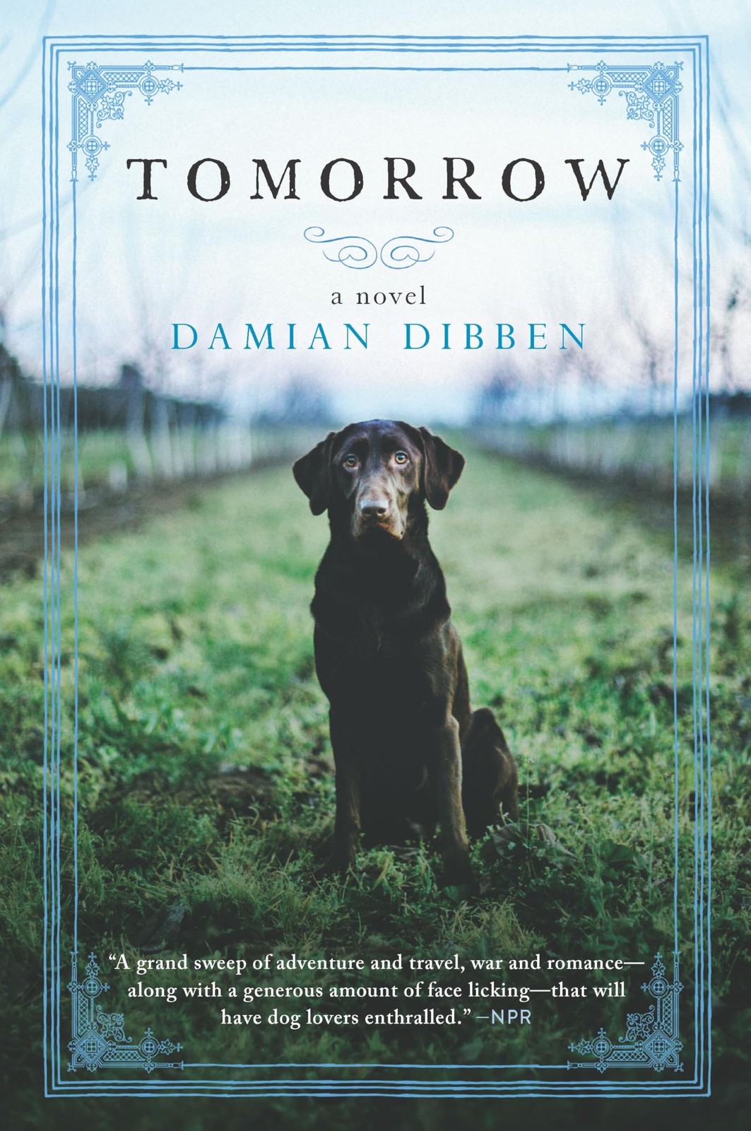 Tomorrow: A Novel – A Book Riot Best Fantasy Pick and Historical Fiction E…