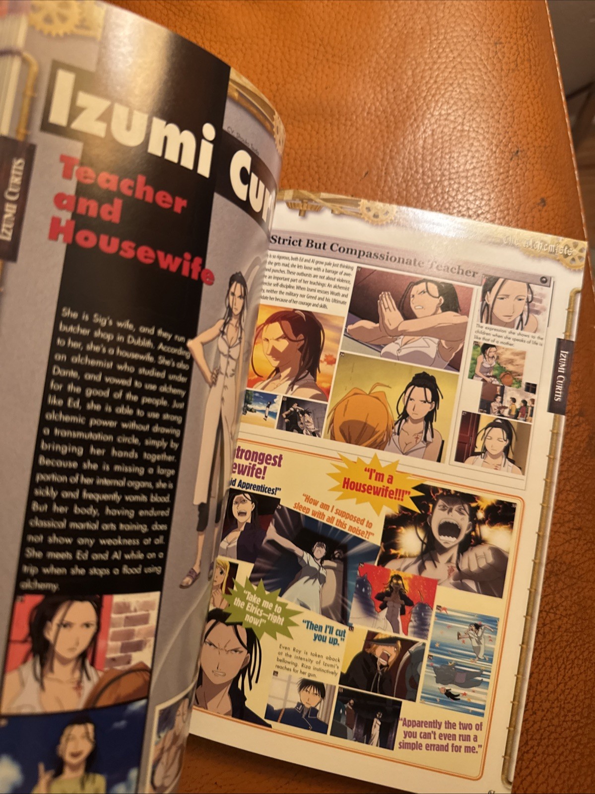 Fullmetal Alchemist Anime Profiles 2004, Viz Media, LIKE NEW Illustrated POSTER