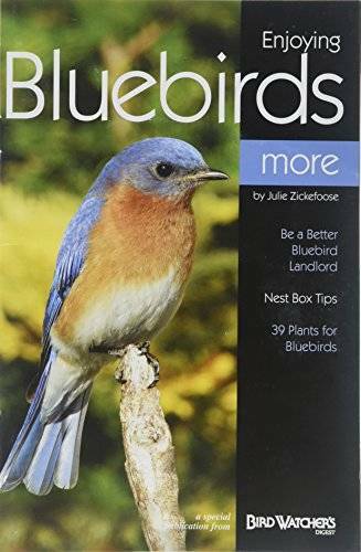 Enjoying Bluebirds More: A Special Publication from Bird Watcher’s Digest – GOOD