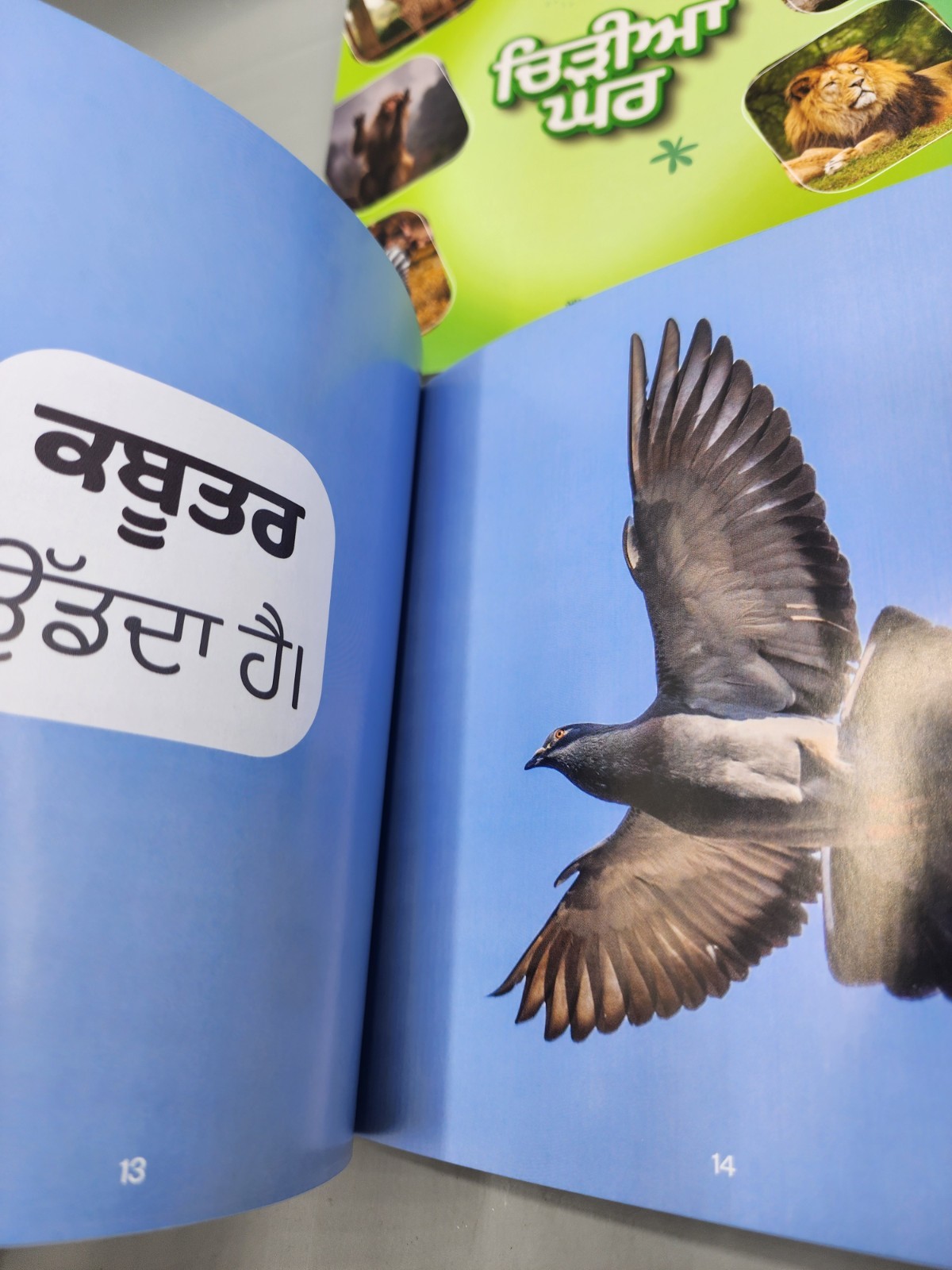 Punjabi Rang Childrens Educational Kids Books Lot of 8
