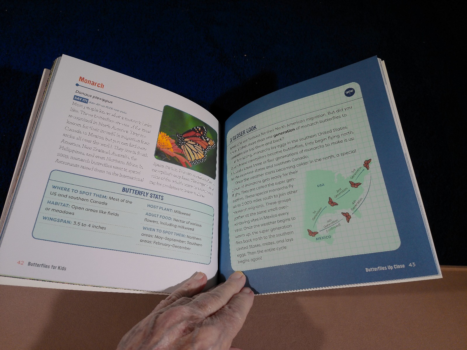 BUTTERFLIES FOR KIDS AGE6-9 JUNIOR SCIENTIST’S GUIDE 72 PAGES 2021
