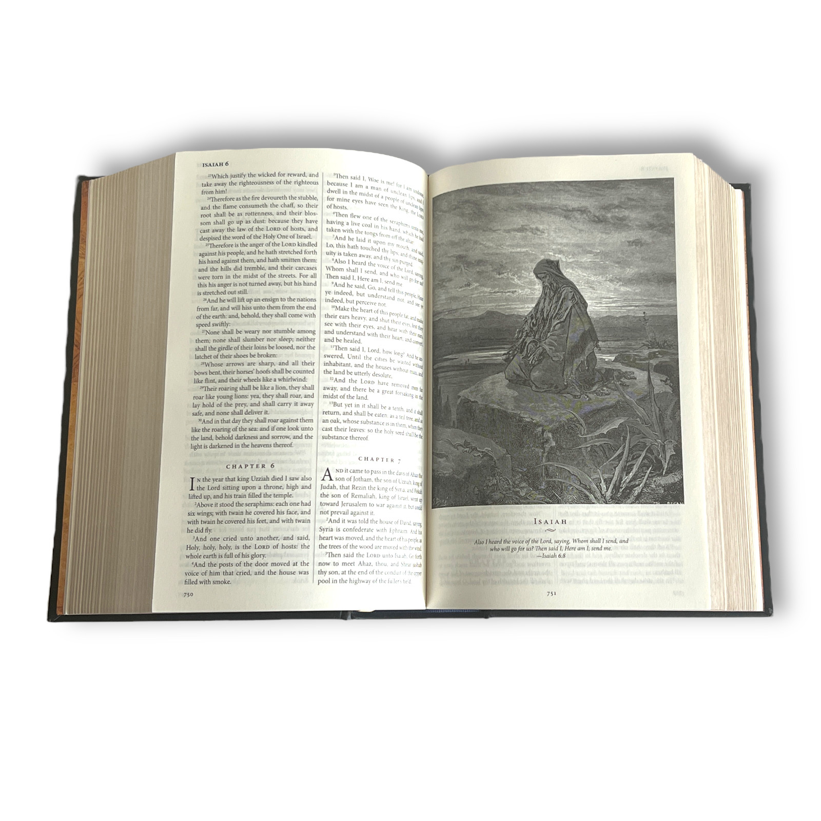 THE HOLY BIBLE King James Version KJV Deluxe Illustrated Bounded Leather – New