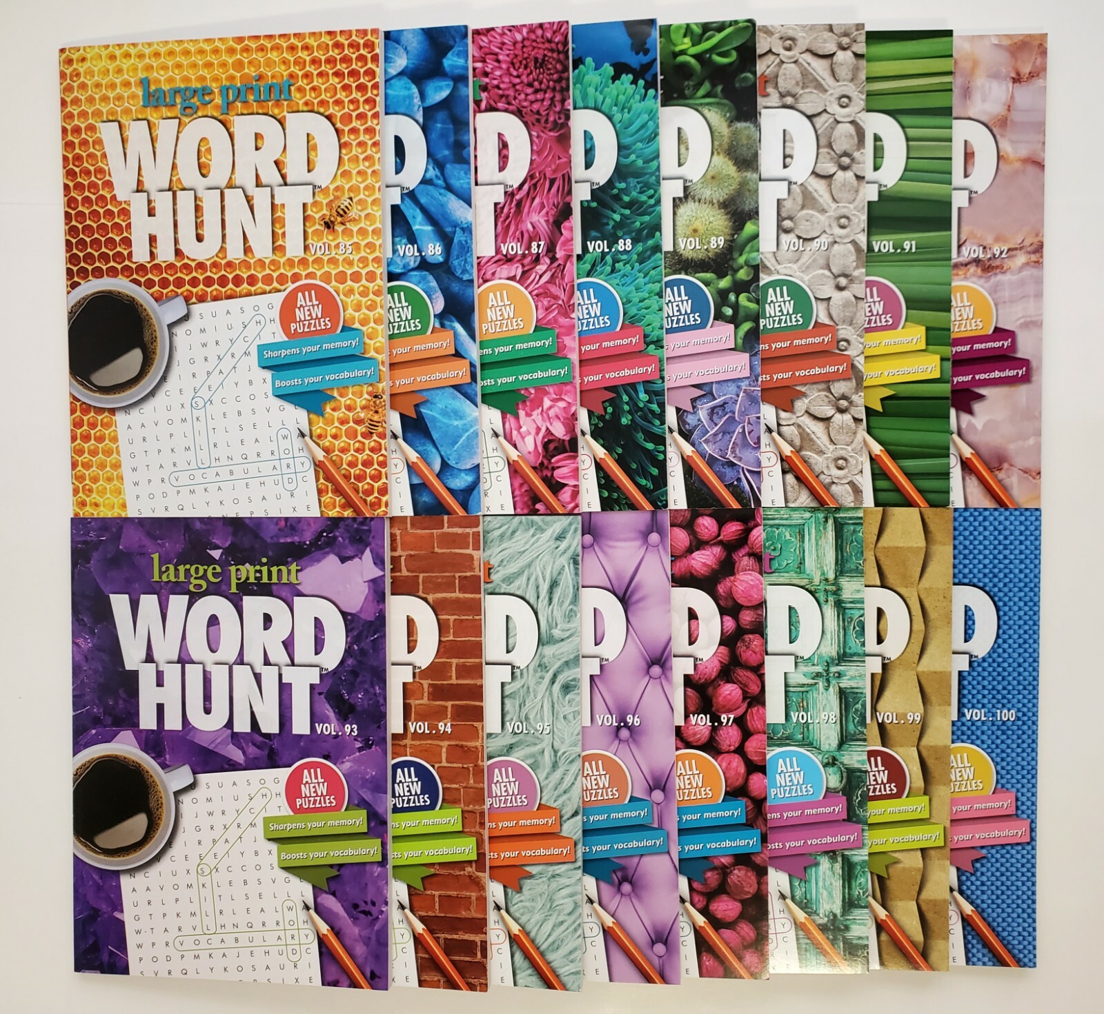 Large Print Word Hunt Puzzle Books Papp Search,Find,Game,Hobby Pick up to 20Vols