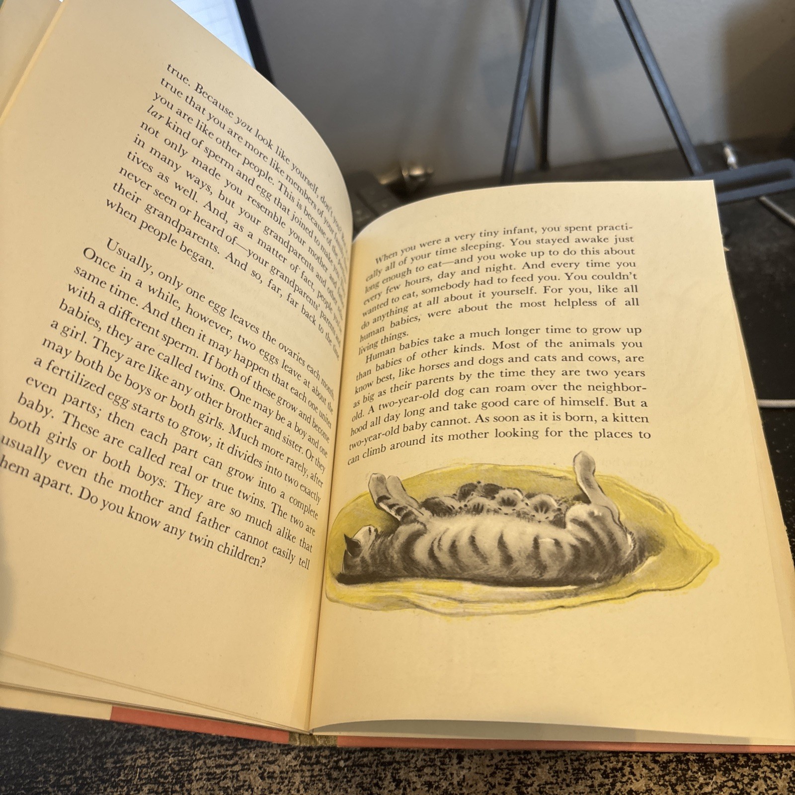The wonderful story of how you were born. By Sidonie Gruenberg. 1953 HC