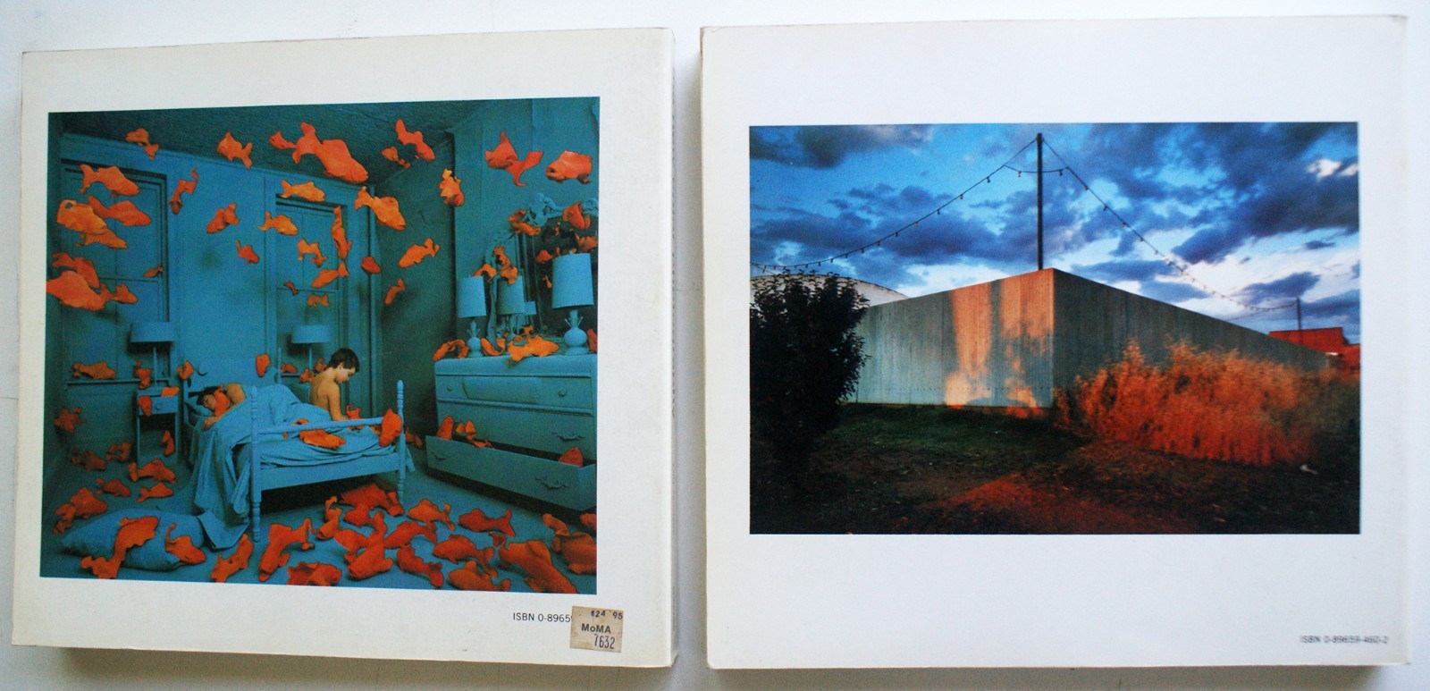 NEW COLOR/NEW WORK, THE NEW COLOR, Sally Eauclaire Abbeville Press 1st Ed. [368]