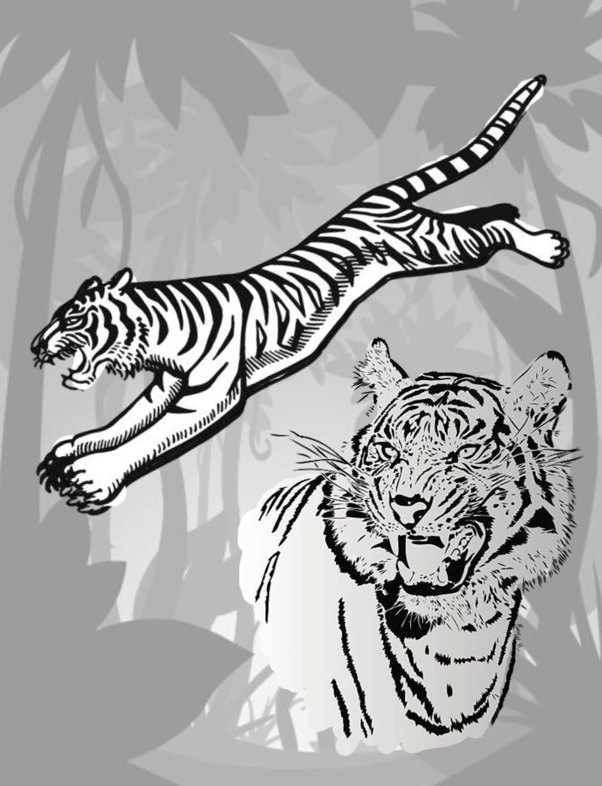 Coloring Book save the Tigers 108 Pages 8.5 x 11 for All Ages Best Tigers book