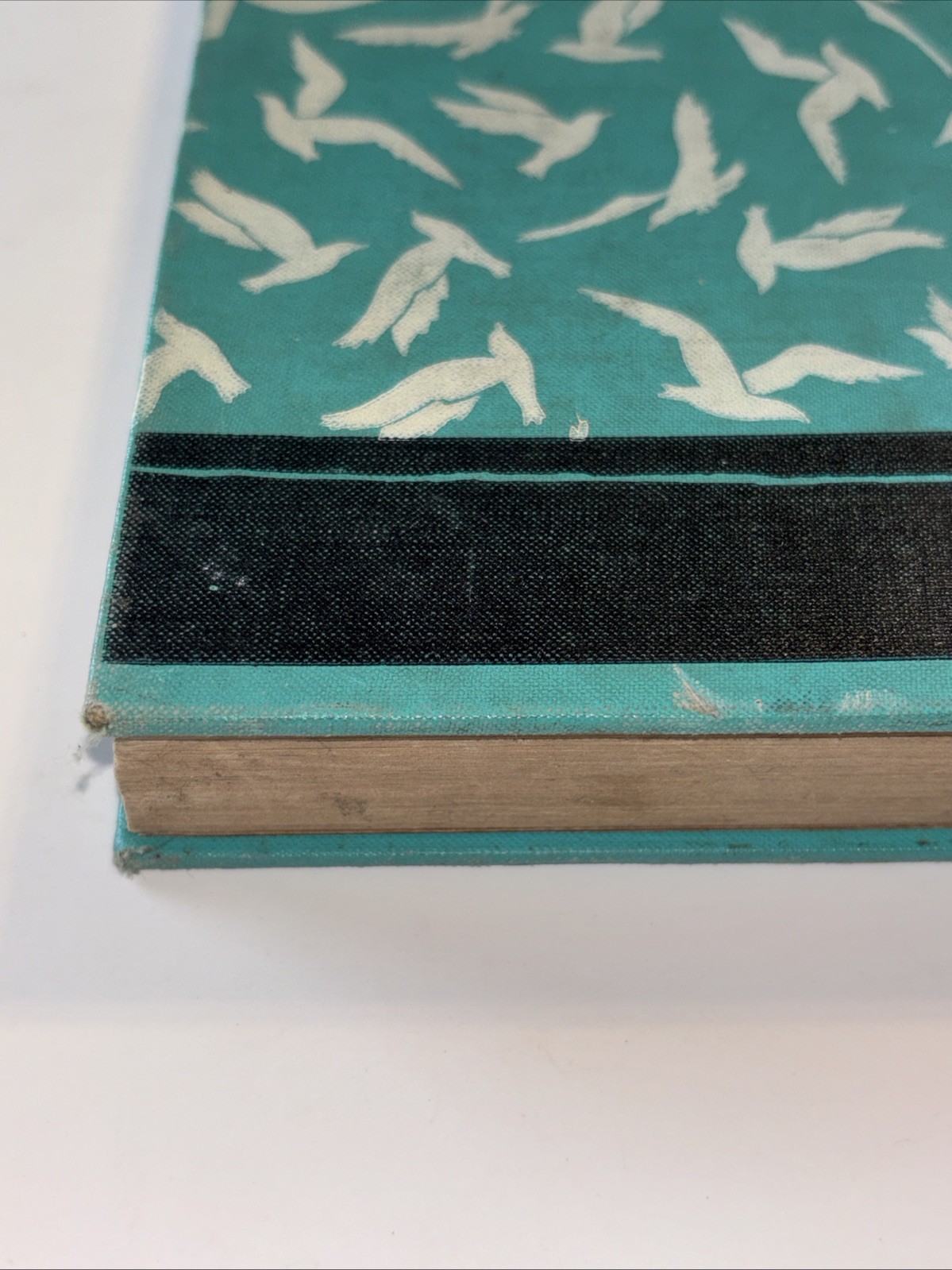 WIDE WINGS BY GATES, HUBER, PEARDON 1939 THE MACMILLAN COMPANY Vtg Antique VG