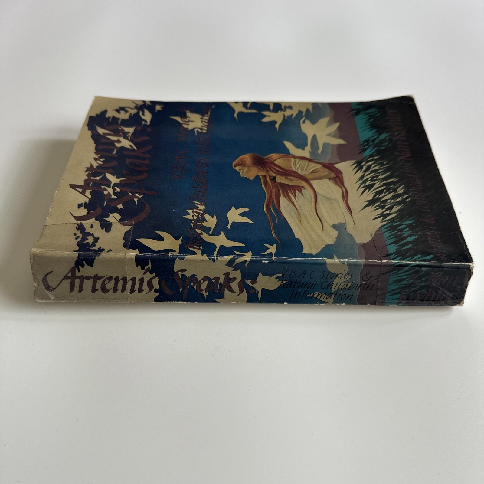 Artemis Speaks , softcover vintage 1985 fabulous VBAC stories & birthing info
