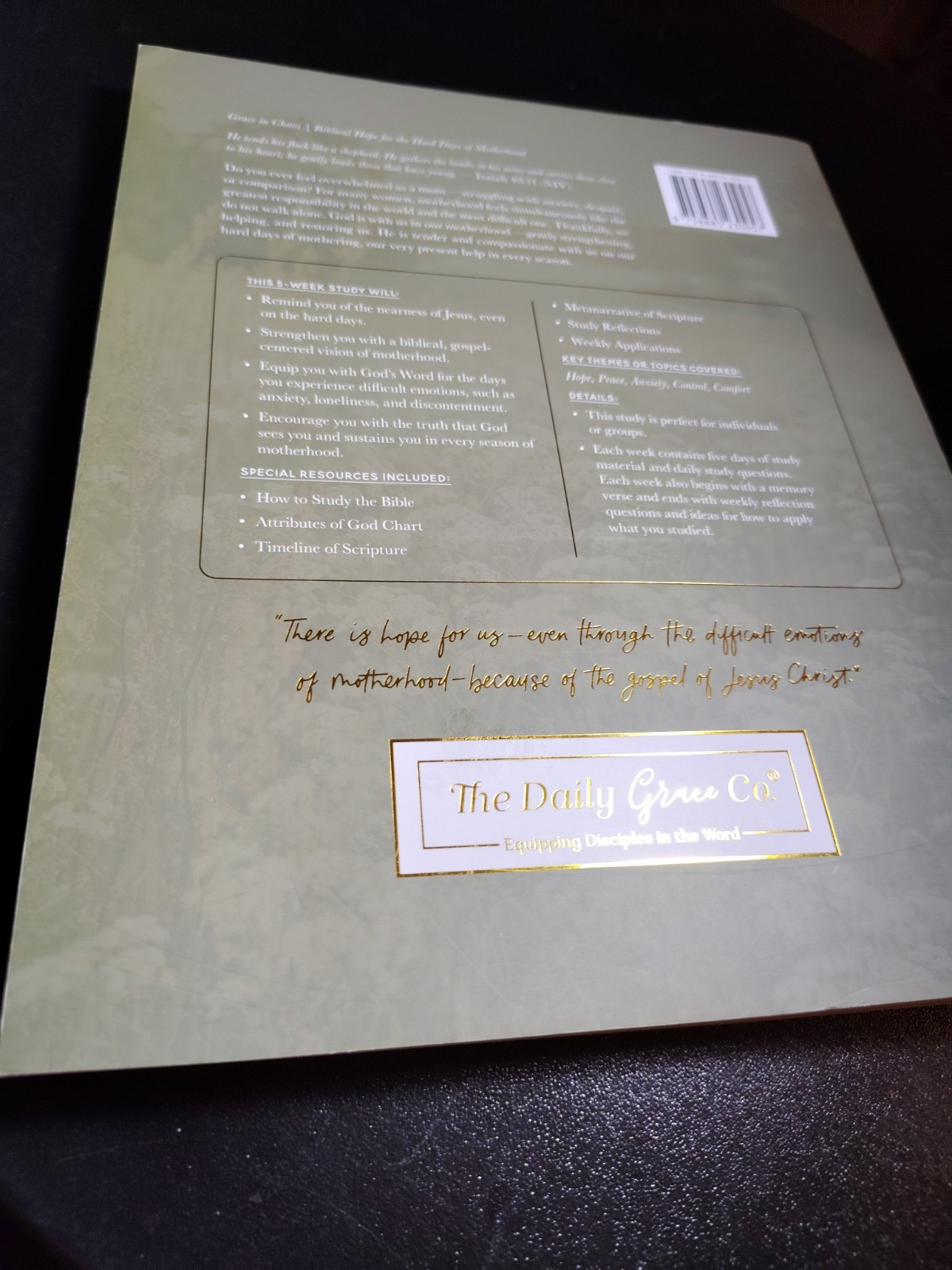 Grace in Chaos The Daily Grace Co. 2017 Biblical Hope Motherhood Study Guide EXC