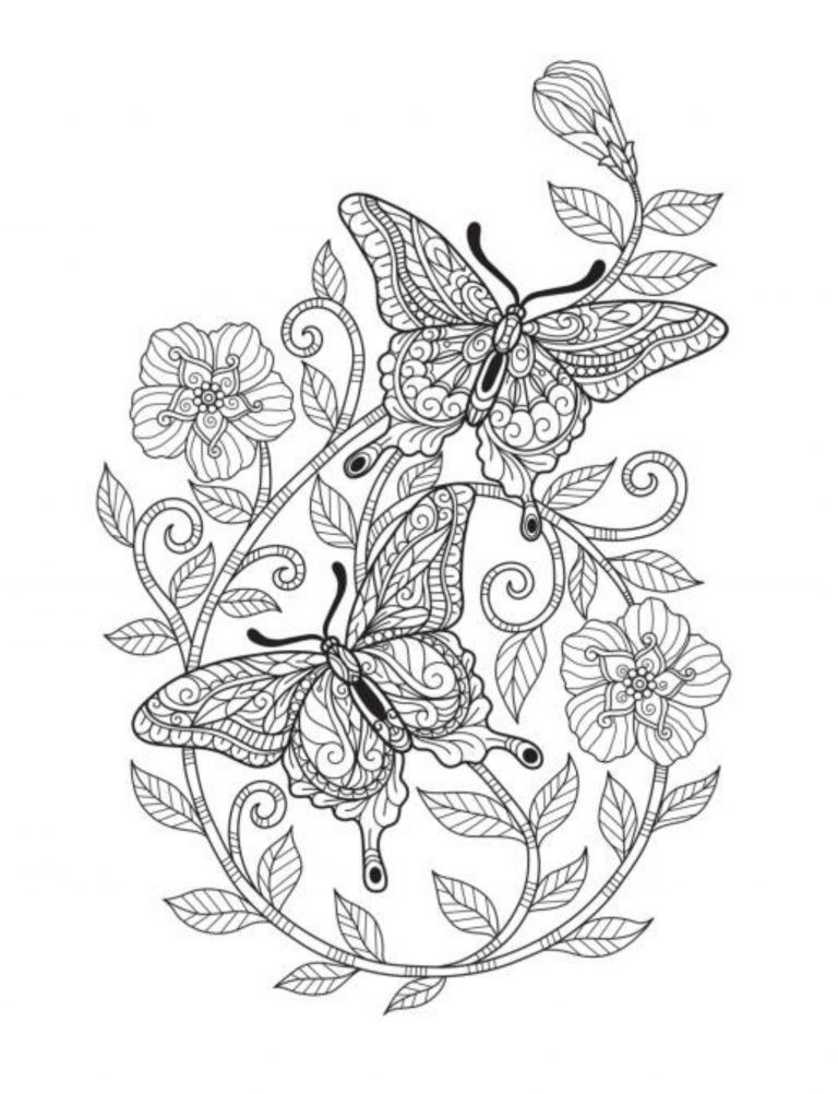 Color the Butterflies Coloring book 108 Pages 8.5 x 11 for All Ages