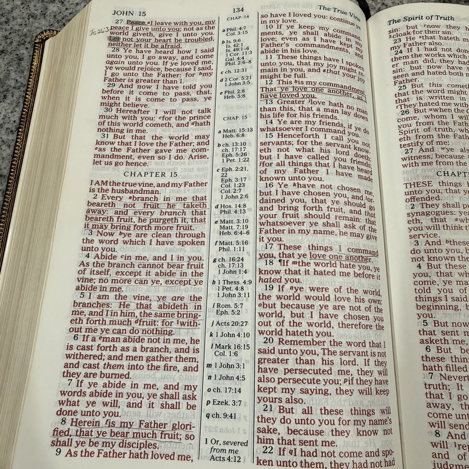 VTG 1985 Rhema Study Bible Kenneth Hagin Ministries-Lg Print King James Version