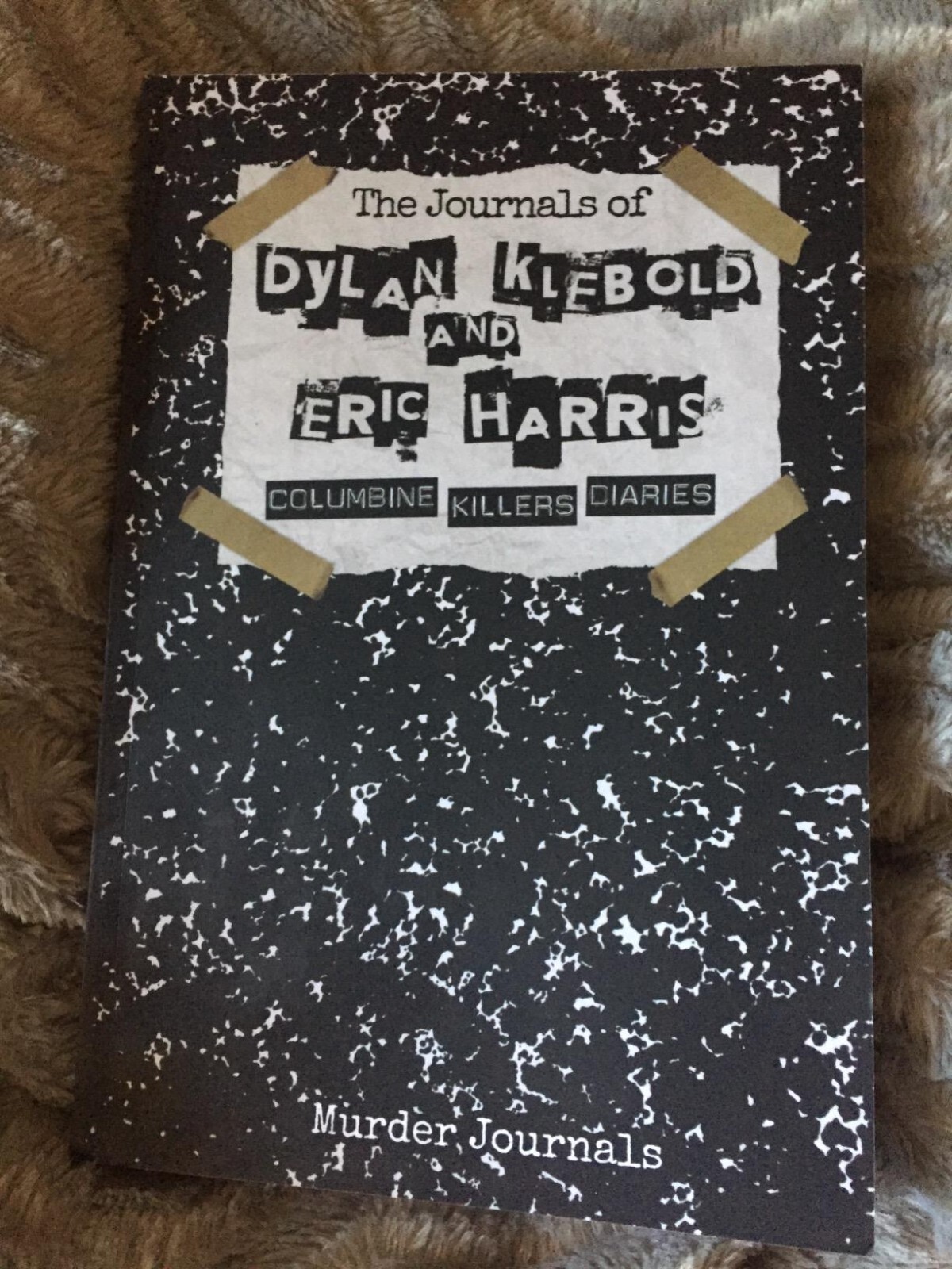 The Journals of Dylan Klebold & Eric Harris: Columbine Killers Diaries Paperback