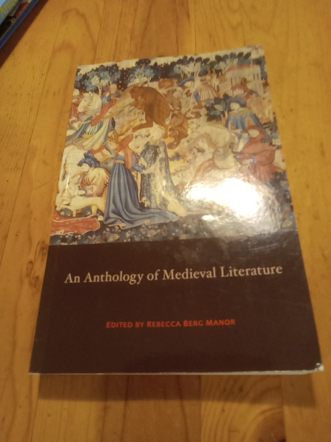 Anthology of Medieval Literature by Rebecca Berg Manor (2013, Trade Paperback)