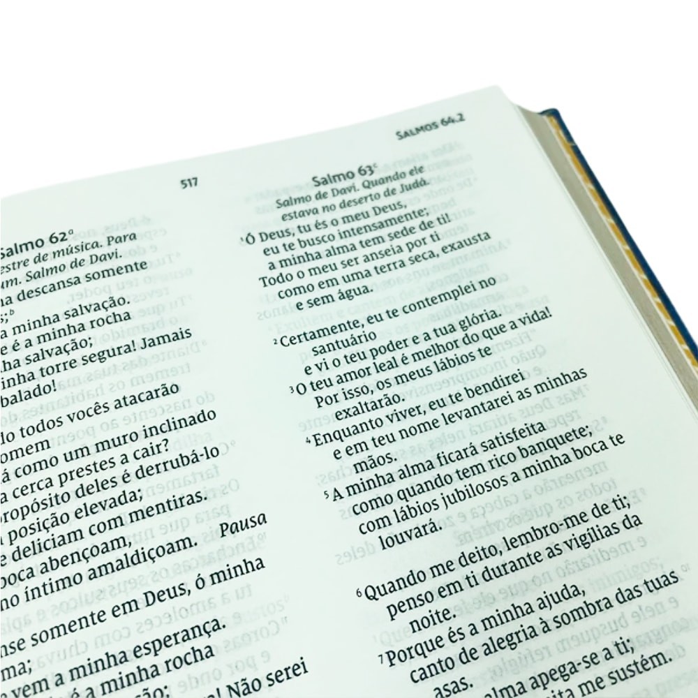 Biblia Sagrada: Abstrata – NVI – Encardenacao: Capa Dura – Letra: Grande
