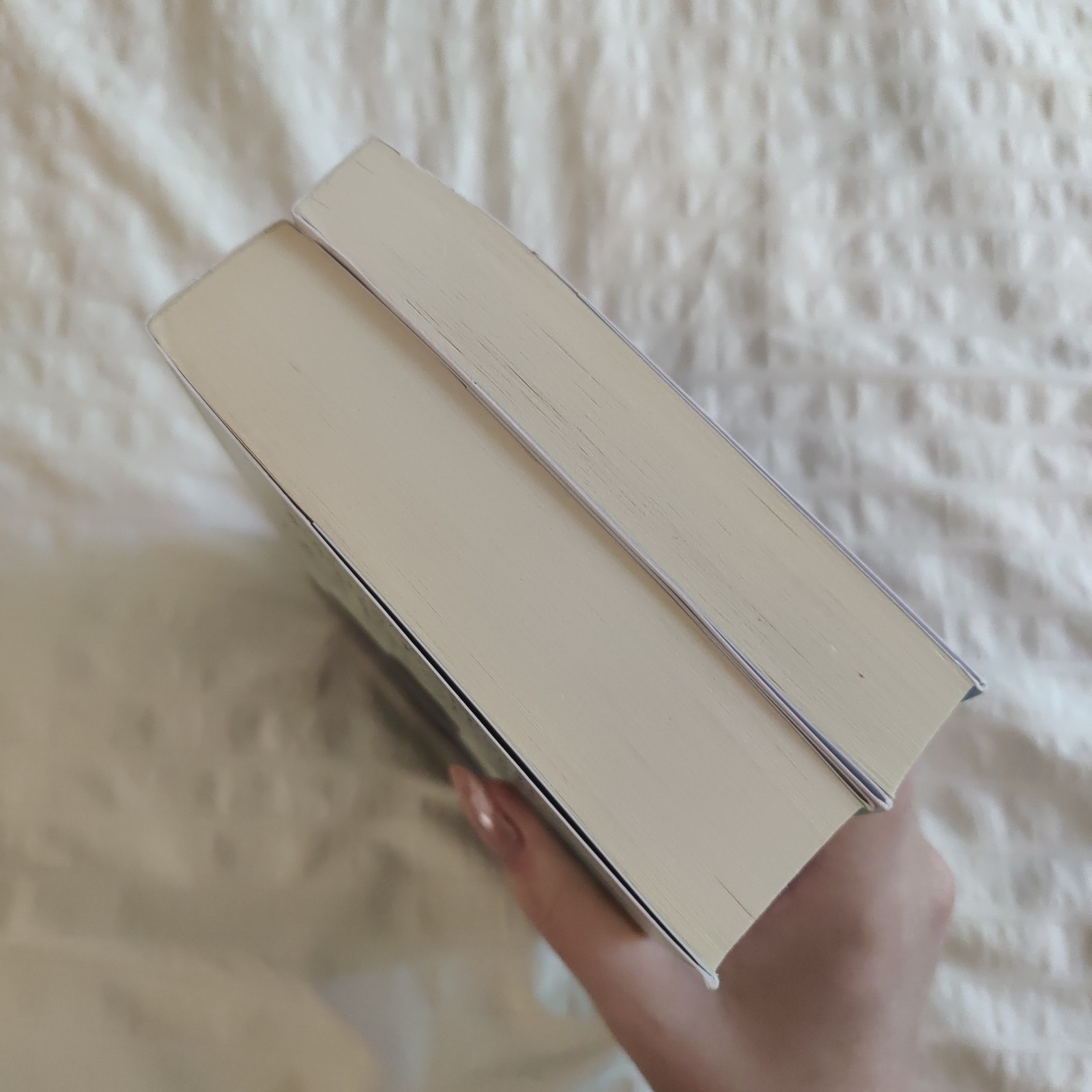 The Neapolitan Novels box set by Elena Ferrante(Europa Editions,trade paperback)