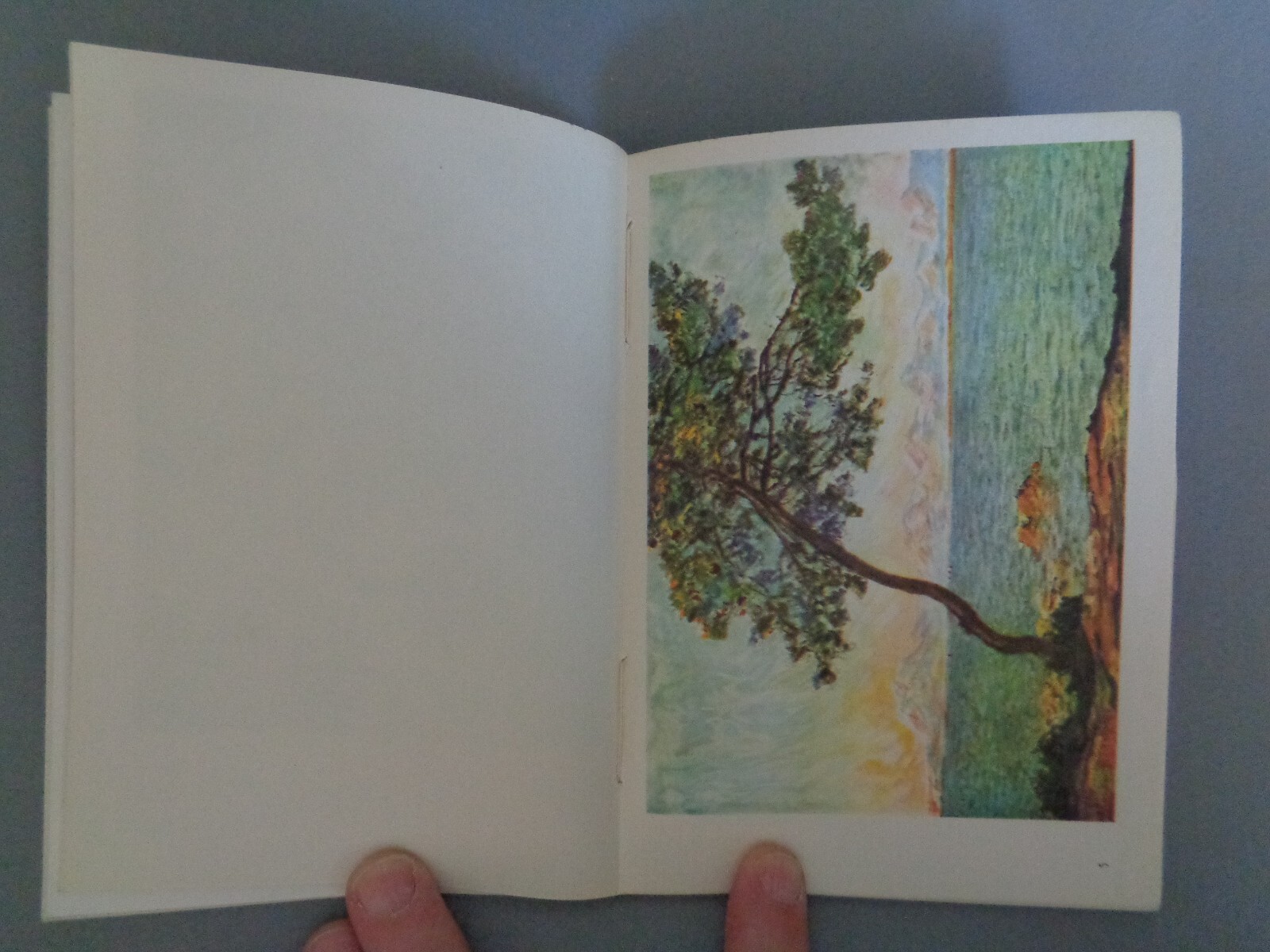 Monet 1883-1926 by Jean Leymarie French Impressionism Paintings Water Lilies Art