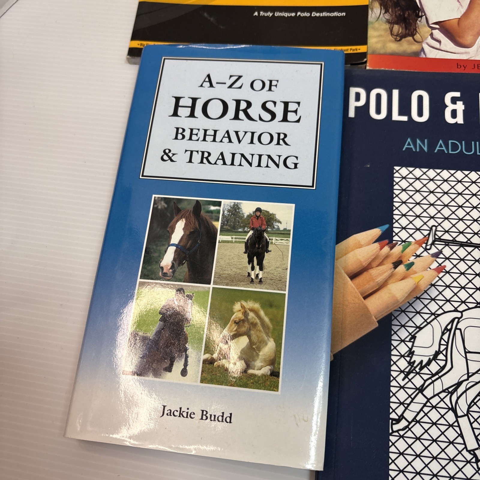 Lot of 12 Horse Books Equine Riding Training Polo Equestrian Care Health Color