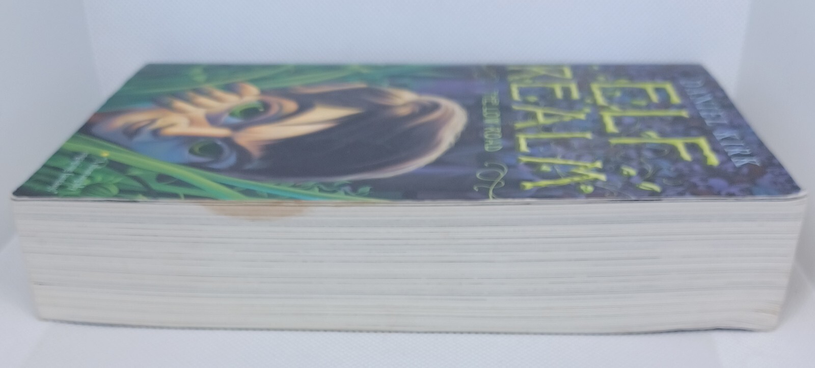 Elf Realm Book #1: The Low Road – By Daniel Kirk. Paperback; 498 Pages.