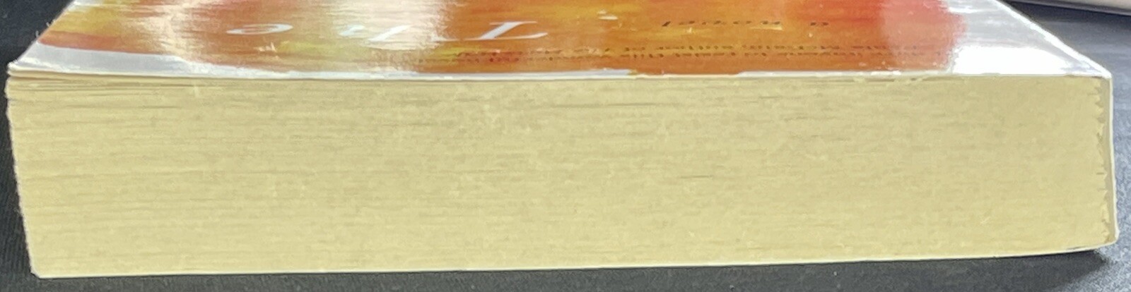 P. S. Ser.: The Story Hour : A Novel by Thrity Umrigar (2014, Trade Paperback)