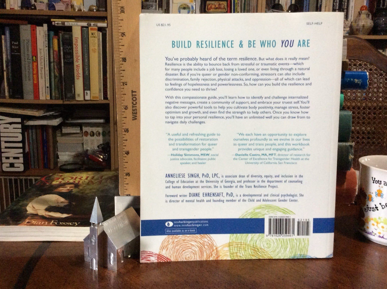 The Queer and Transgender Resilience Workbook: Skills for Navigating Sexual Orie