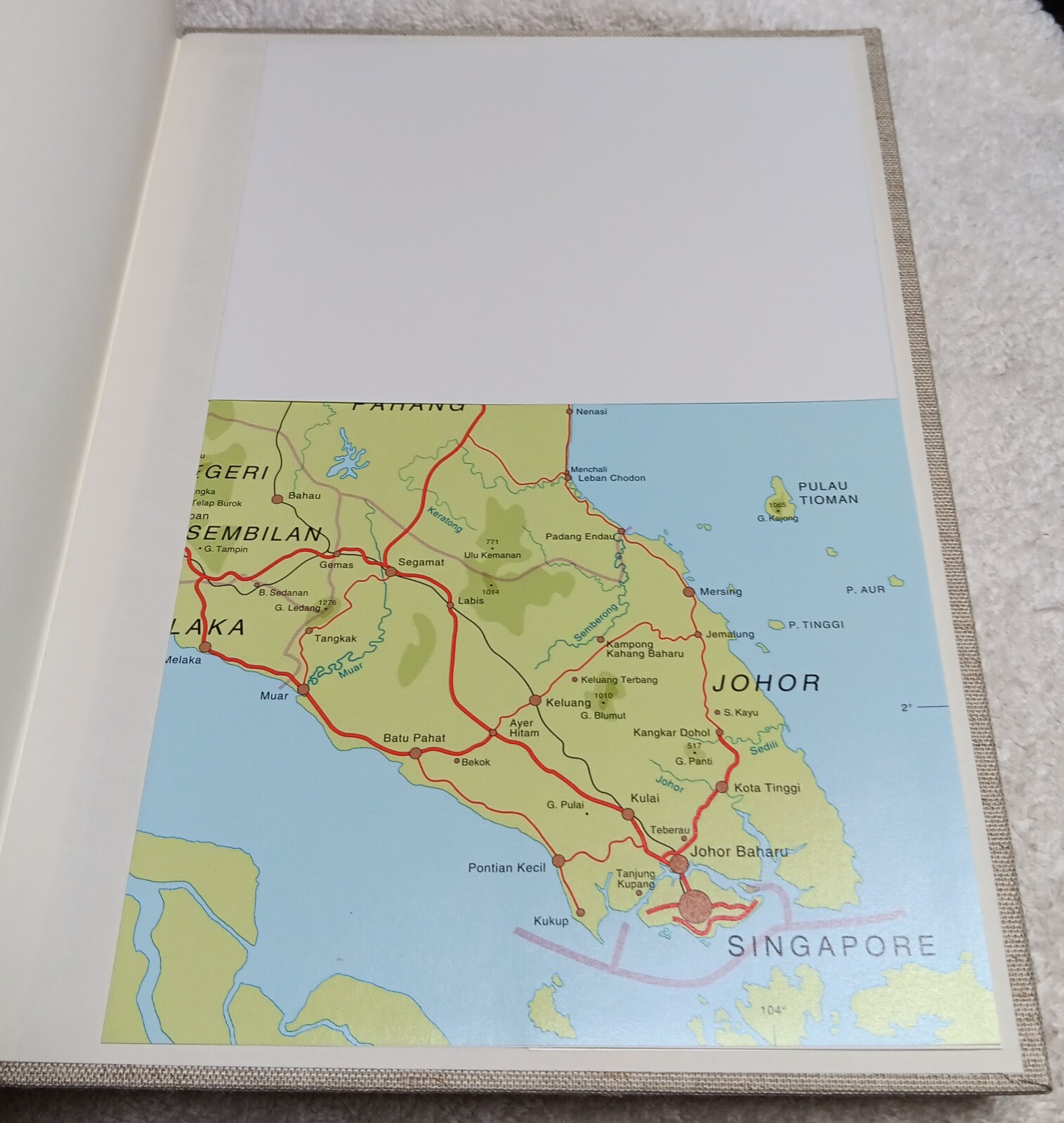 The Orchids of Peninsular Malaysia & Singapore (Seidenfaden & Wood • 1992)