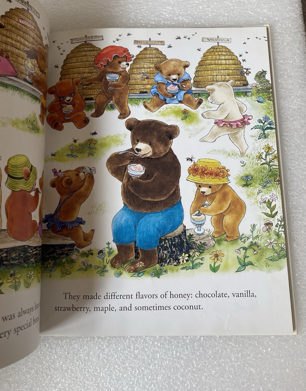 The Fourteen Bears in Summer and Winter By E. Scott-First Golden Classic Edition