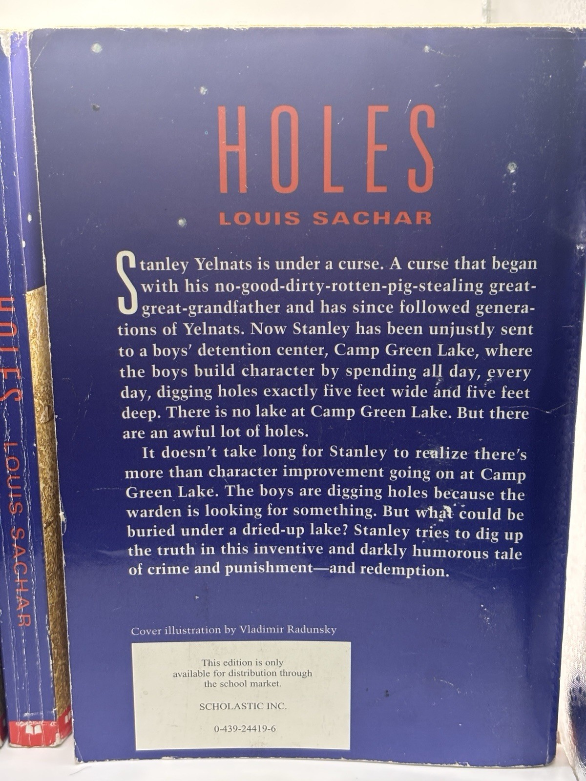 HOLES Class Set Louis Sachar Newberry Guided Reading lot of 10 books novel