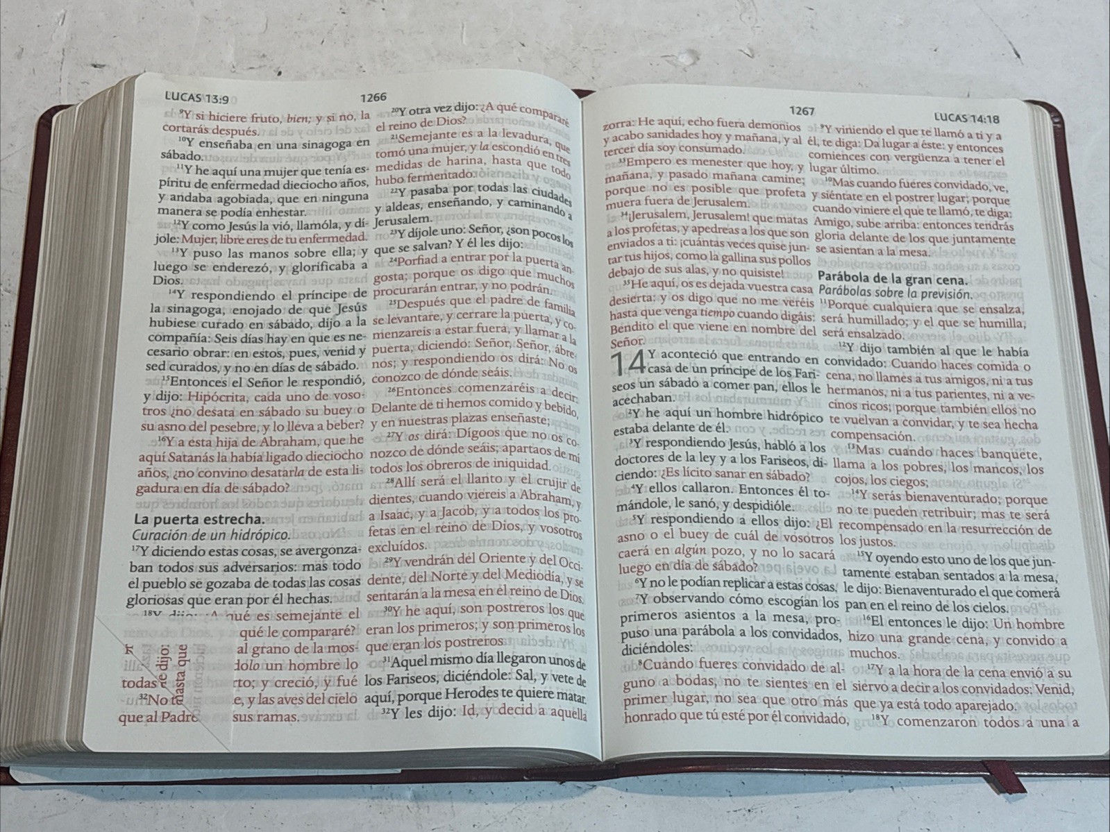 Santa Biblia Reina Valera Letra Gigante Spanish Bible Origen