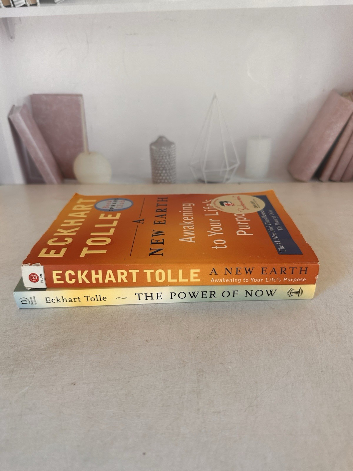 Eckhart Tolle Book Lot Of 2 Power of Now A New Earth