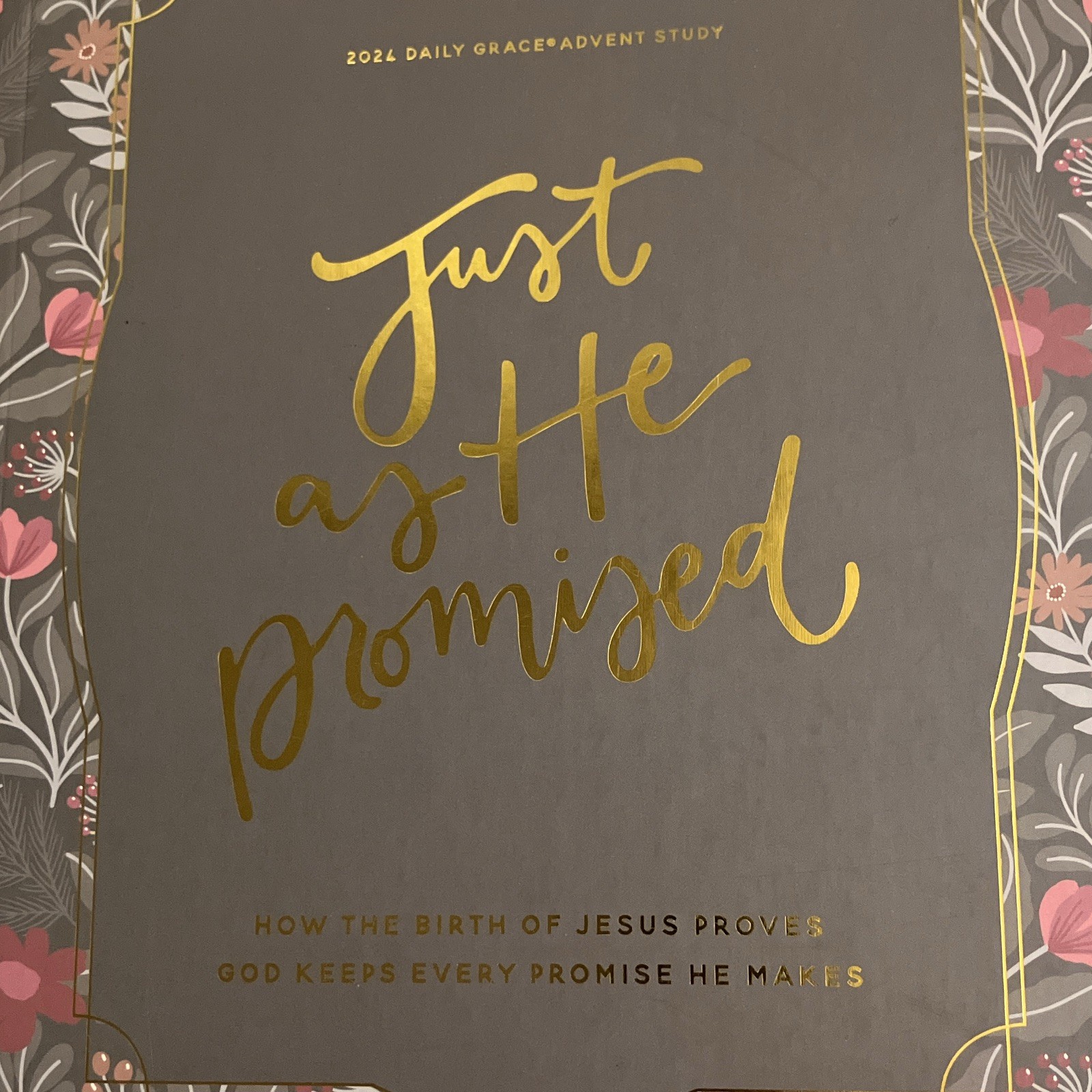 The Daily Grace Co. Just as He Promised 2024 Advent Bible Study Guide PB