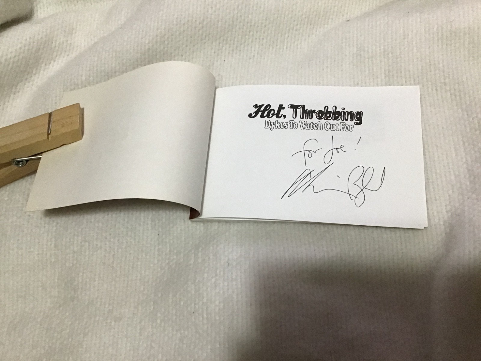 Whoa! Alison Bechdel lot of 12! Signed DTWOF Books! Titles in PIX & Description