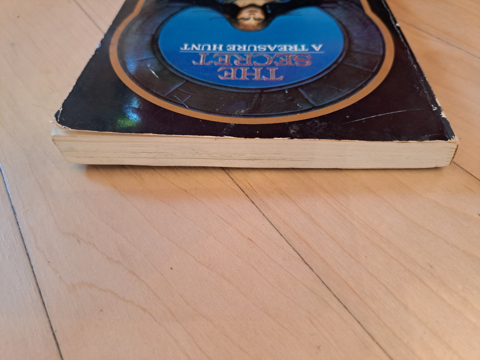 The Secret: A Treasure Hunt 1982 First Edition Bantam Paperback Palencar Preiss