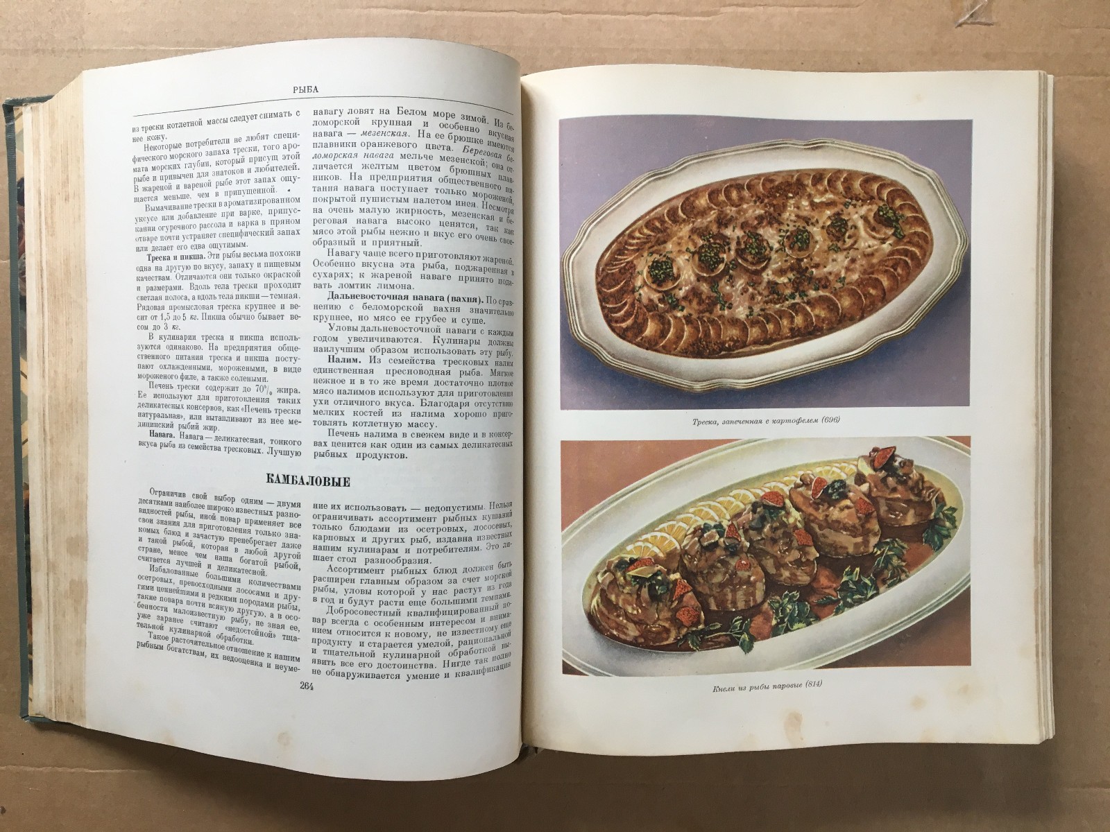 Кулинария 1955 Лифшиц Cooking Recipes Kulinariya Moscow Russian 960 pages