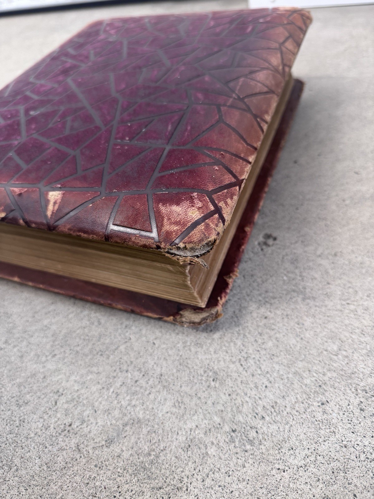 1800s Vintage Book Holy Bible Altemus Antique Leather Original