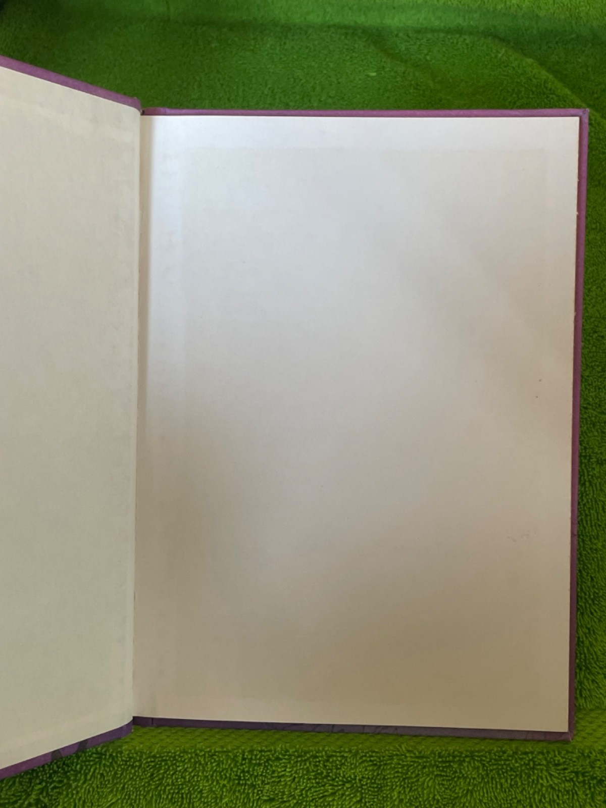 BOOK Read about Me My Adventure in Mother Goose Land ALAN L TAYLOR hardcover ’74