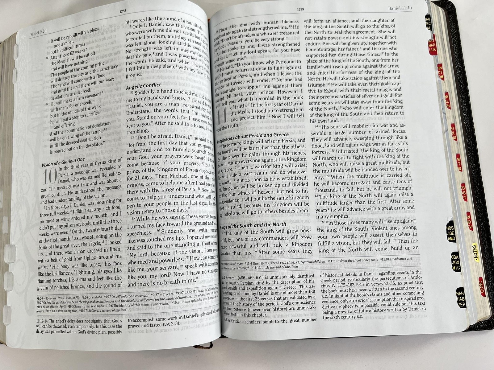 The Apologetics Study Bible Ted Cabal Holman CSB Brown Genuine Leather Indexed