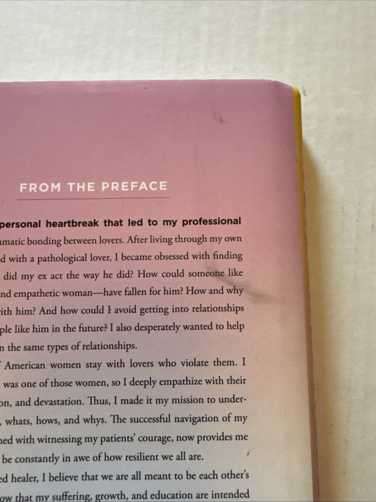 Run Like Hell: A Therapist’s Guide to Recognizing… by Nadine Macaluso Hardback