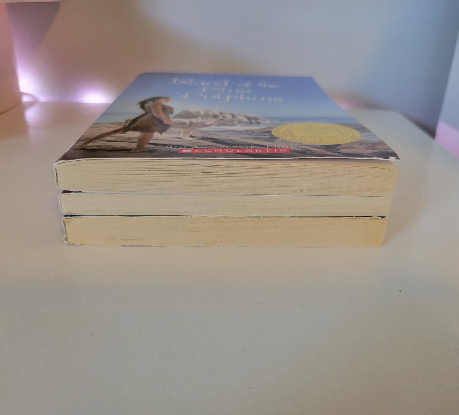 Lot Of 3 Childrens Middle Grade Chapter Books Island Of The Blue Dolphins