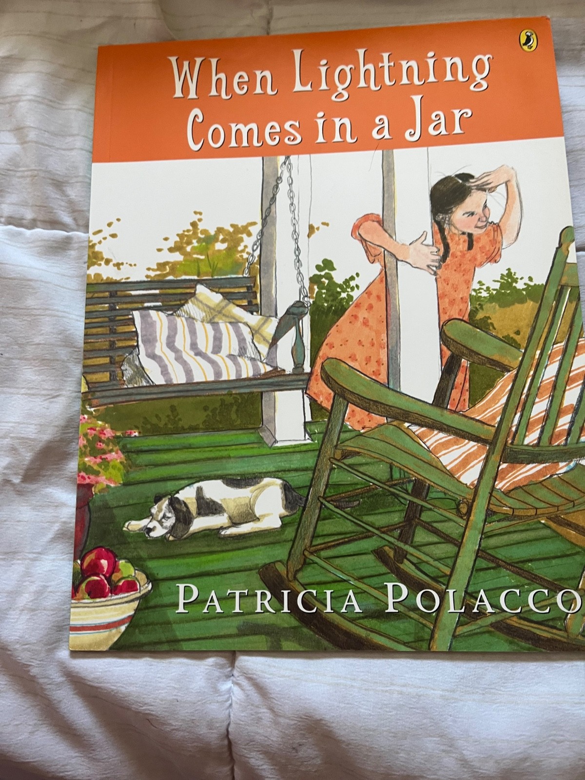 Patricia Polacco book collection – 24 books. – hard and soft back- Make an offer