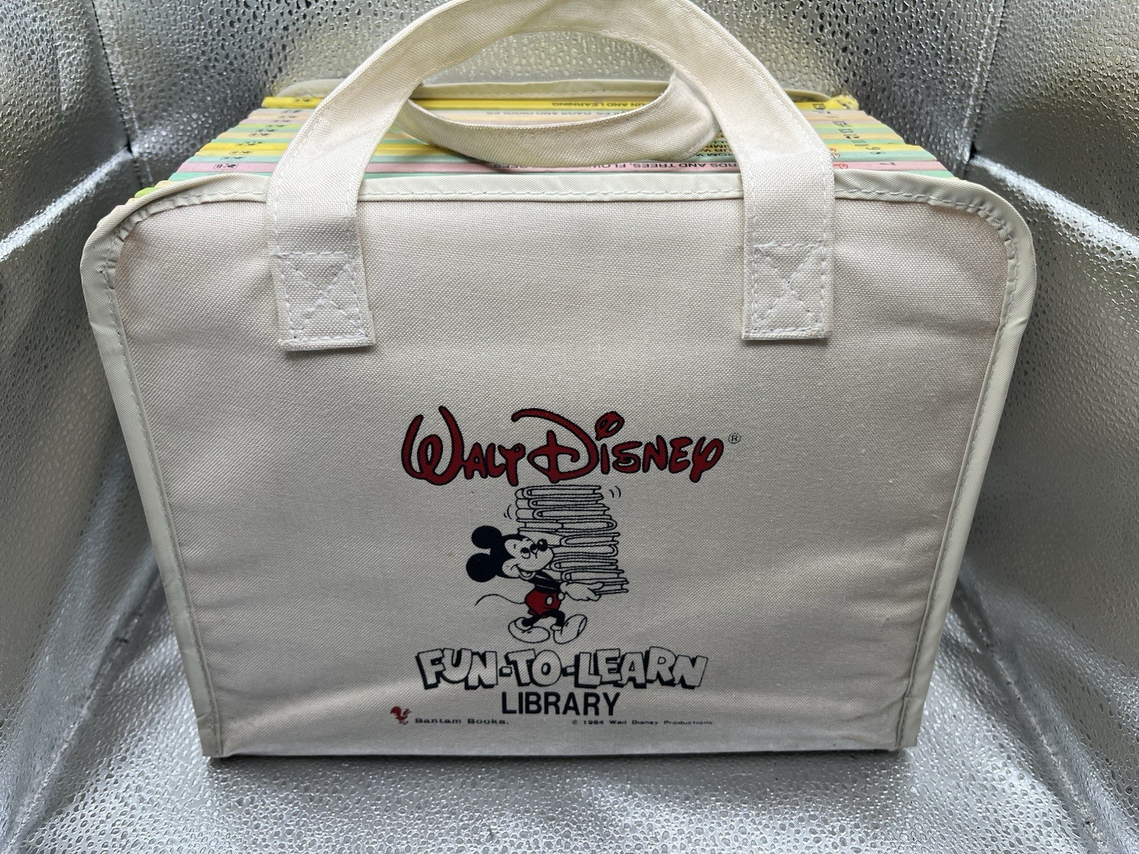 Walt Disney Fun-To-Learn Library 1-19 Complete Set Bantam Books Hardcover + Bag
