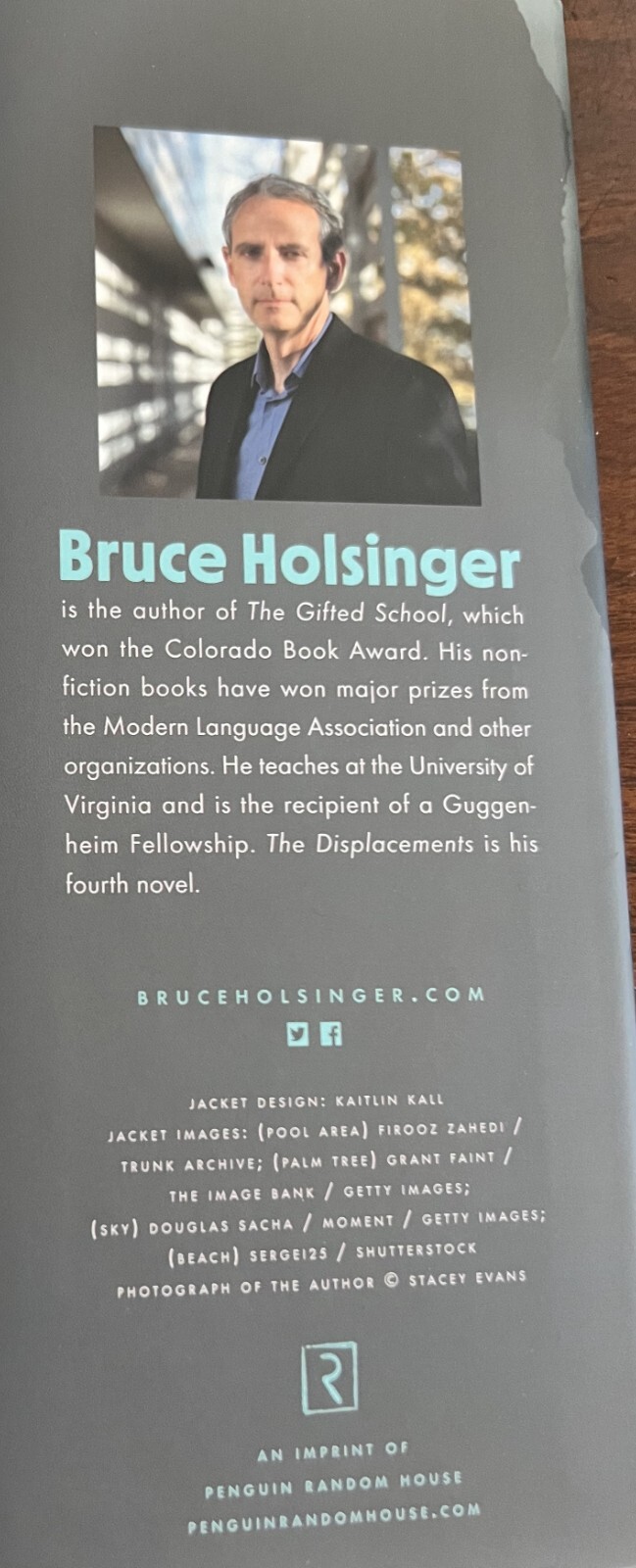 The Displacements : A Novel by Bruce Holsinger (2022, Hardcover)
