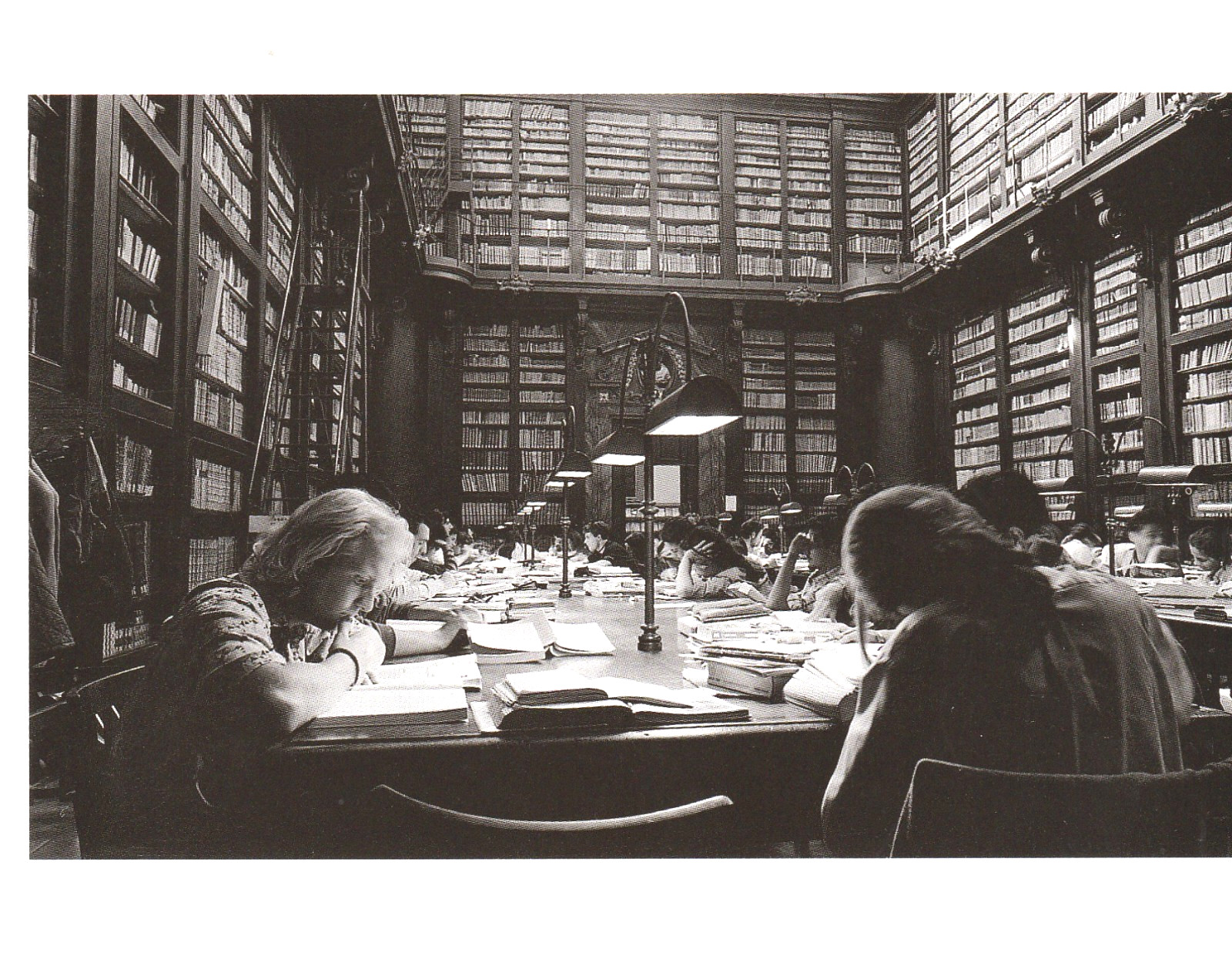 For the Love of Libraries: a Book of 30 Postcard Photographs by Diane Griliches