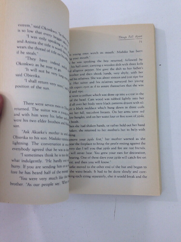 Things Fall Apart – Chinua Achebe (1994, Paperback)