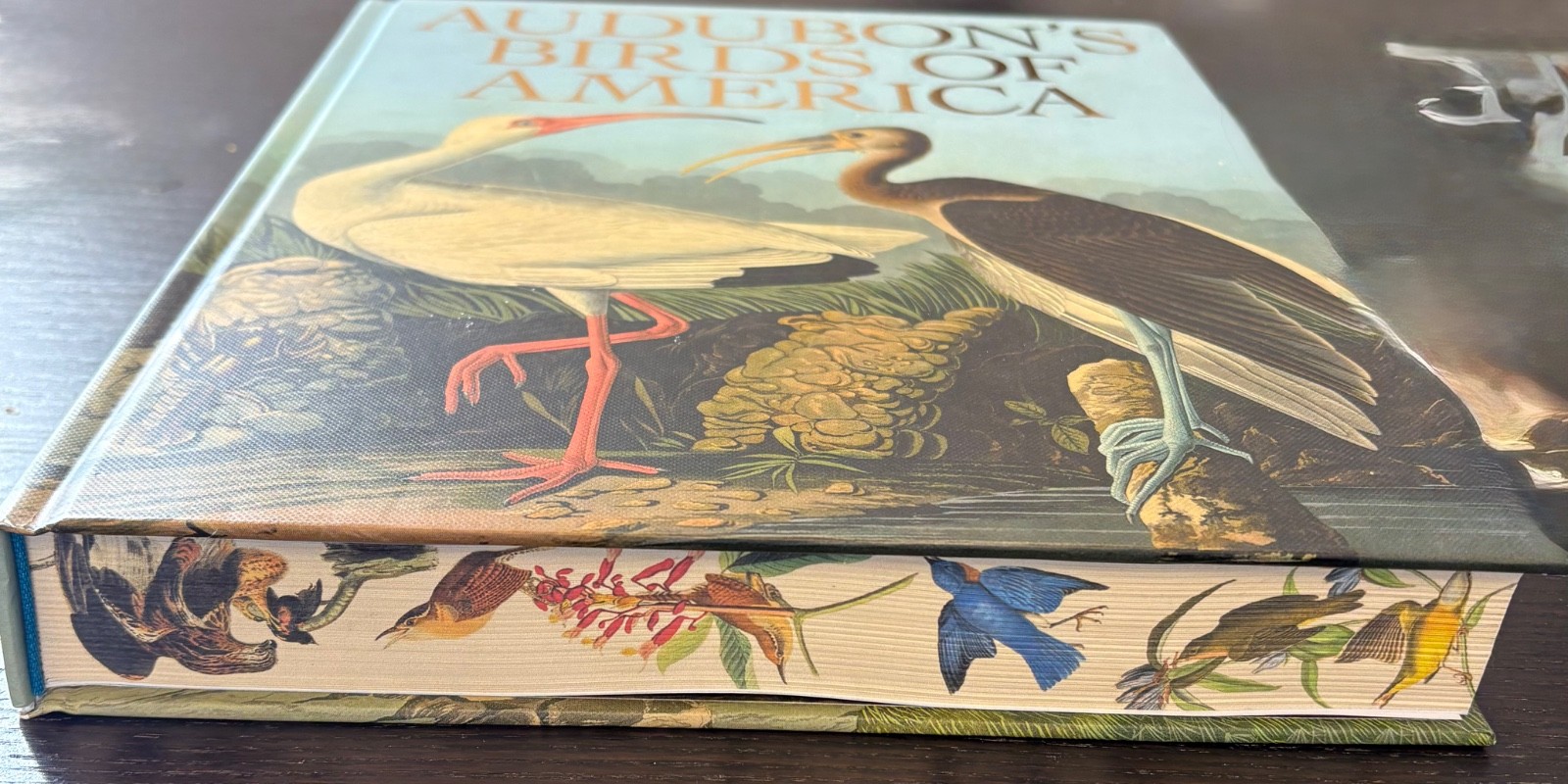 Audobon Birds of America Arcturus Publishing