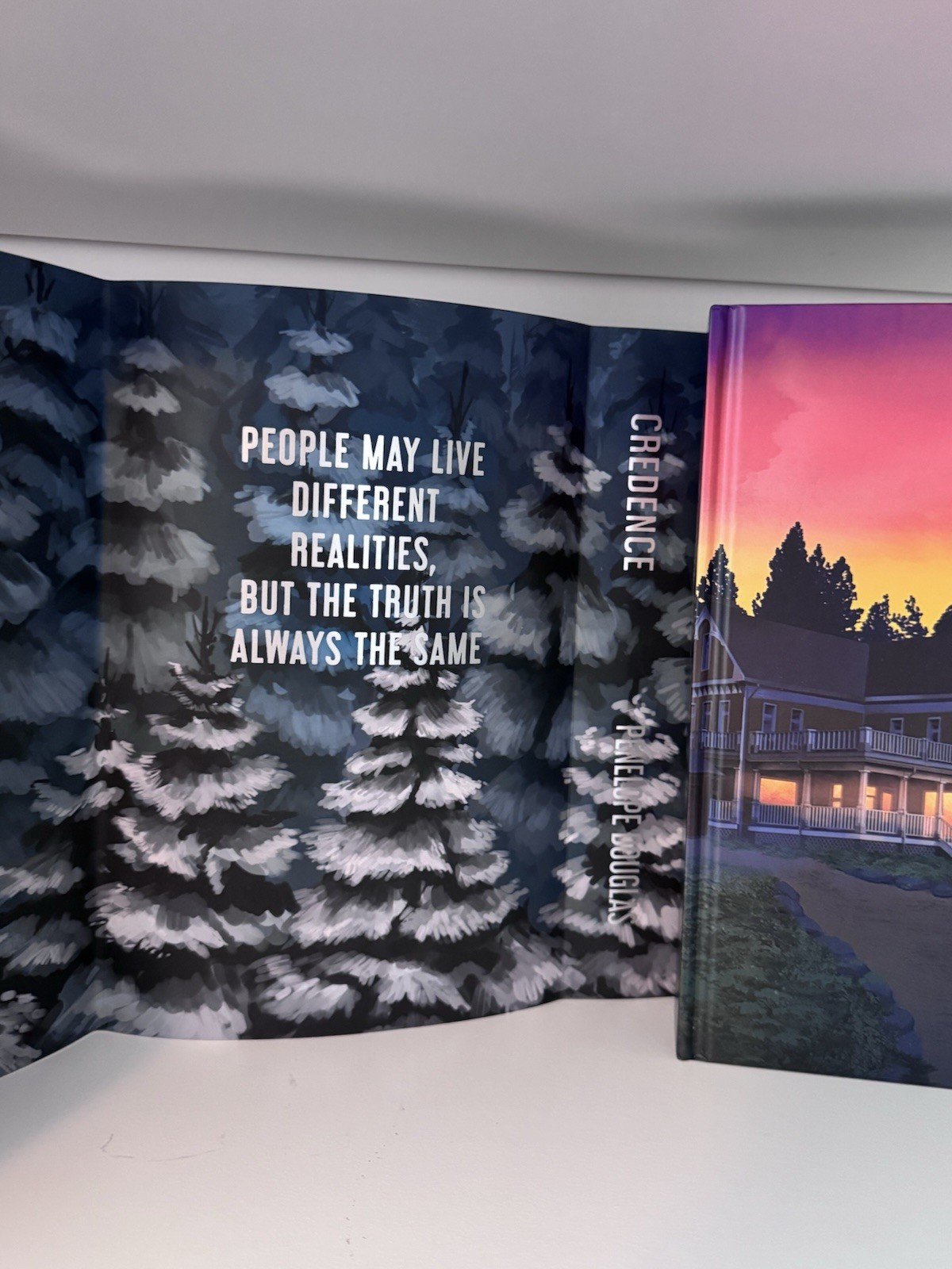 Credence By Penelope Douglas Books For Days Crate Special Edition Bfdc