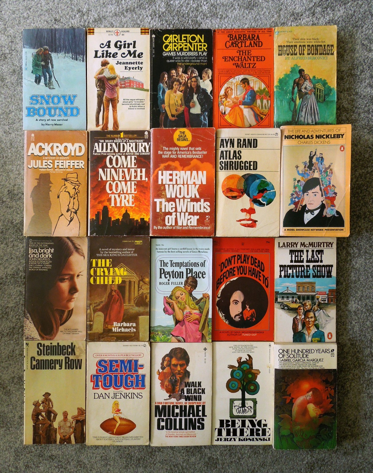 Lot of 20 Vintage 1970s Fiction Pocketbooks: Snow Bound, Being There, +18