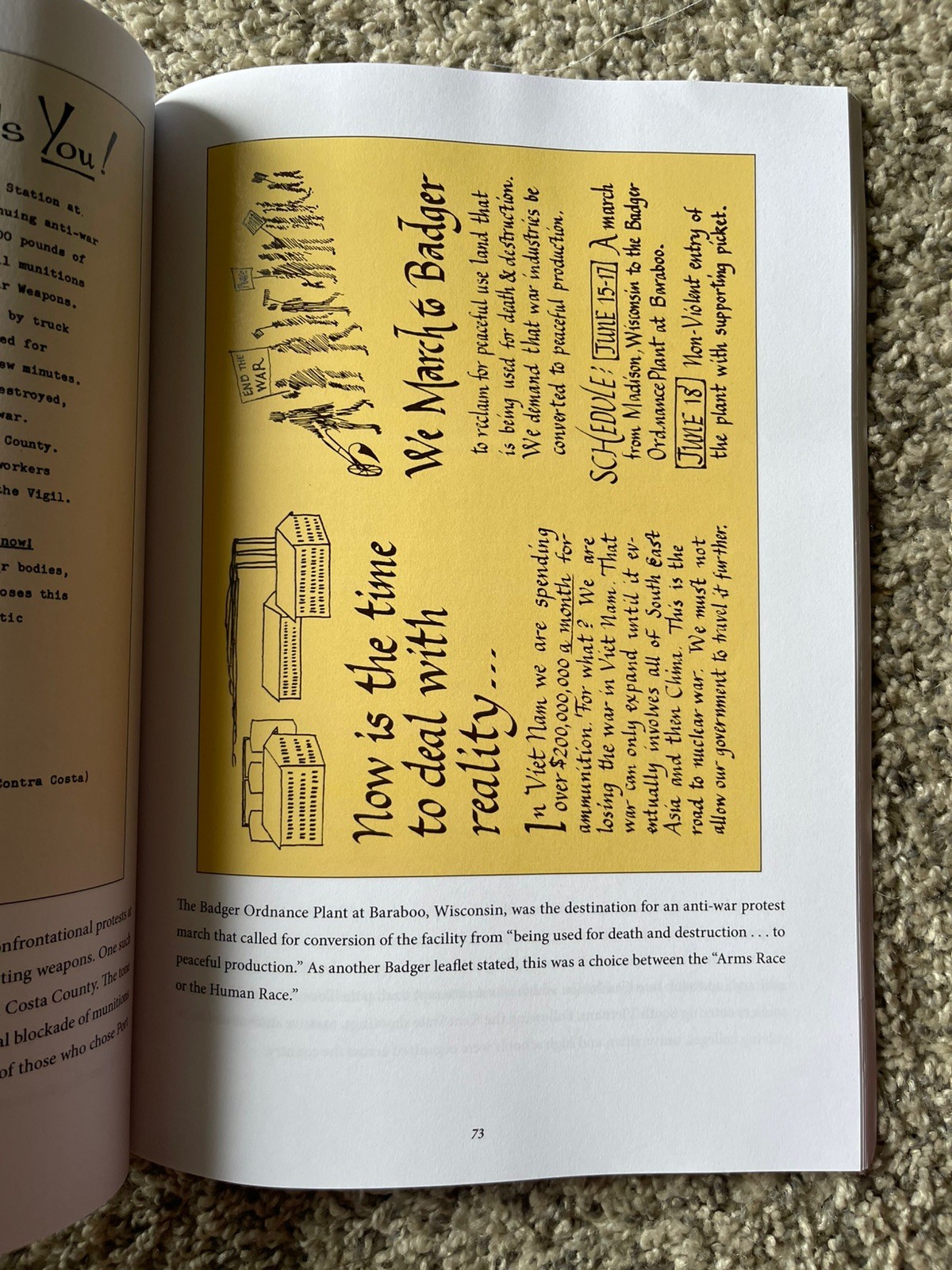 Fists & Flowers: Leaflets from the Sixties (Paperback or Softback)