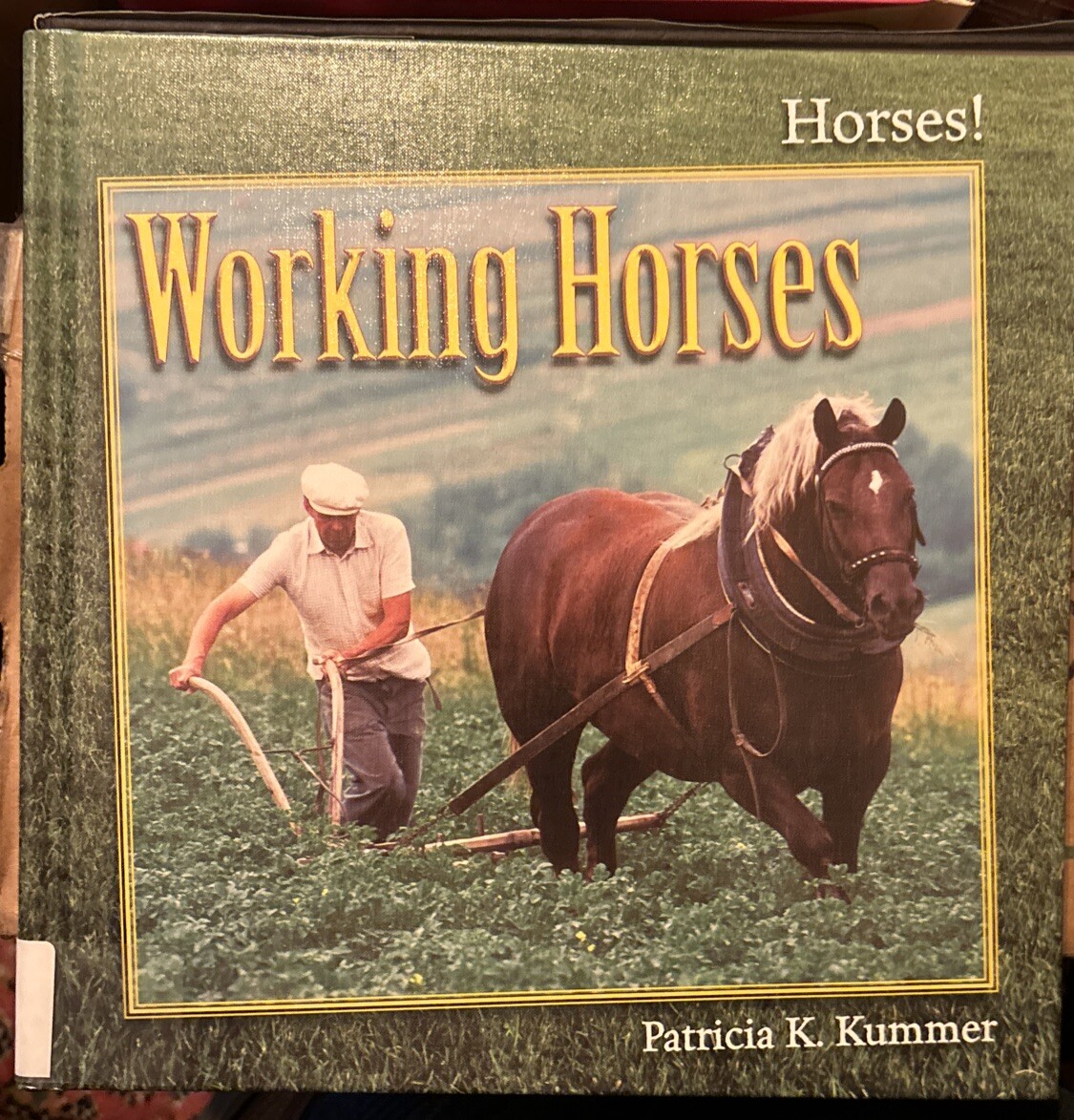 Working Horses by Patricia K. Kummer (2013, Hardcover)