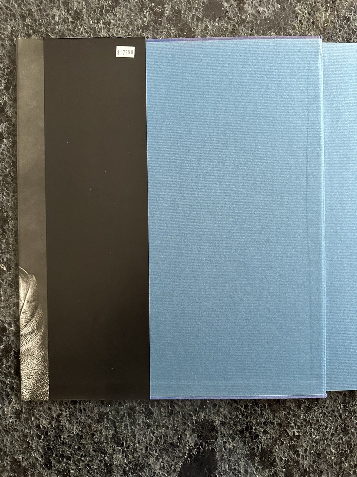 Robert Mapplethorpe Certain People by Susan Sontag 1985 Hardcover