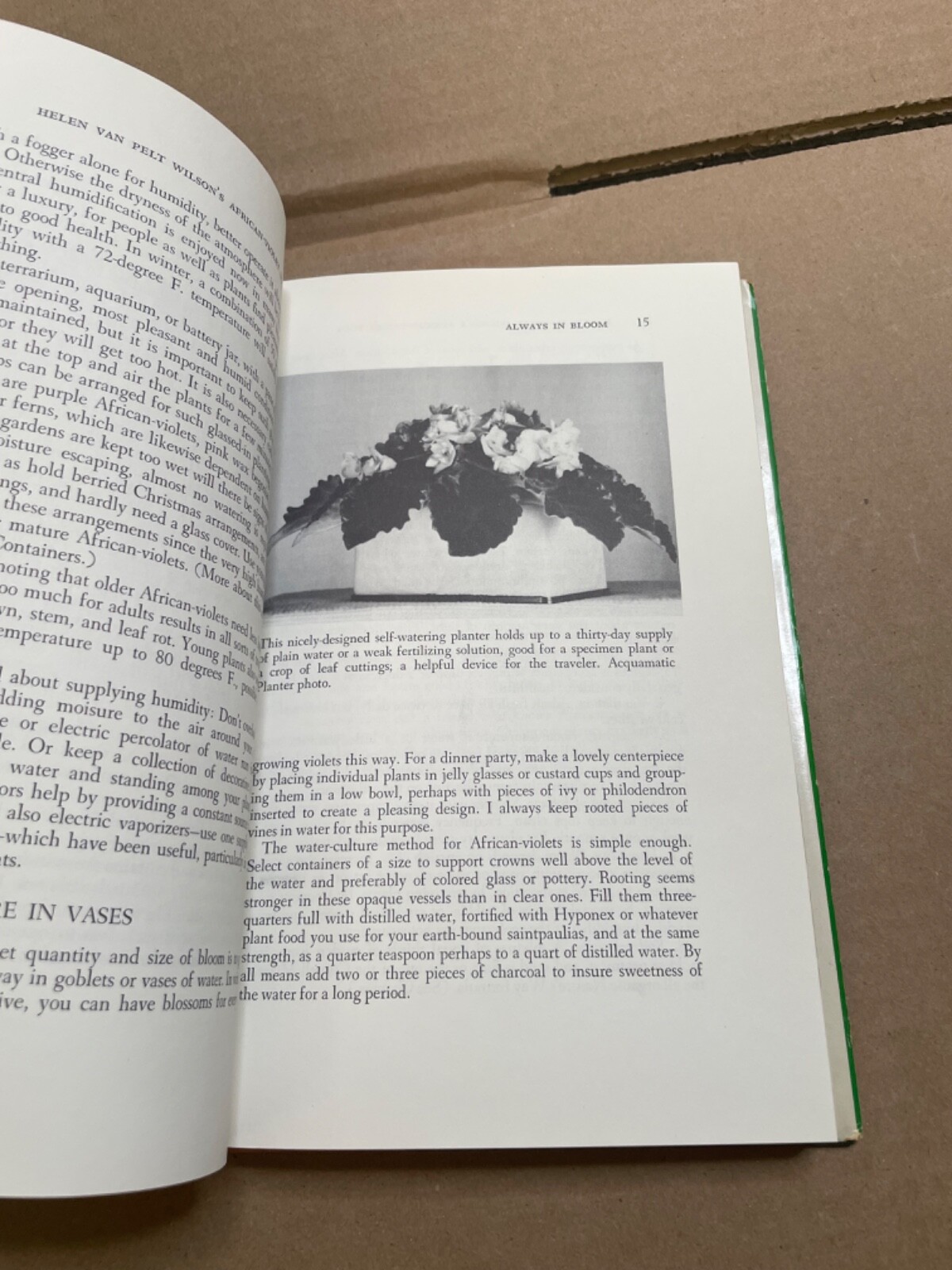 Helen Van Pelt Wilson’s African-Violet Book [HC/DJ) 1970